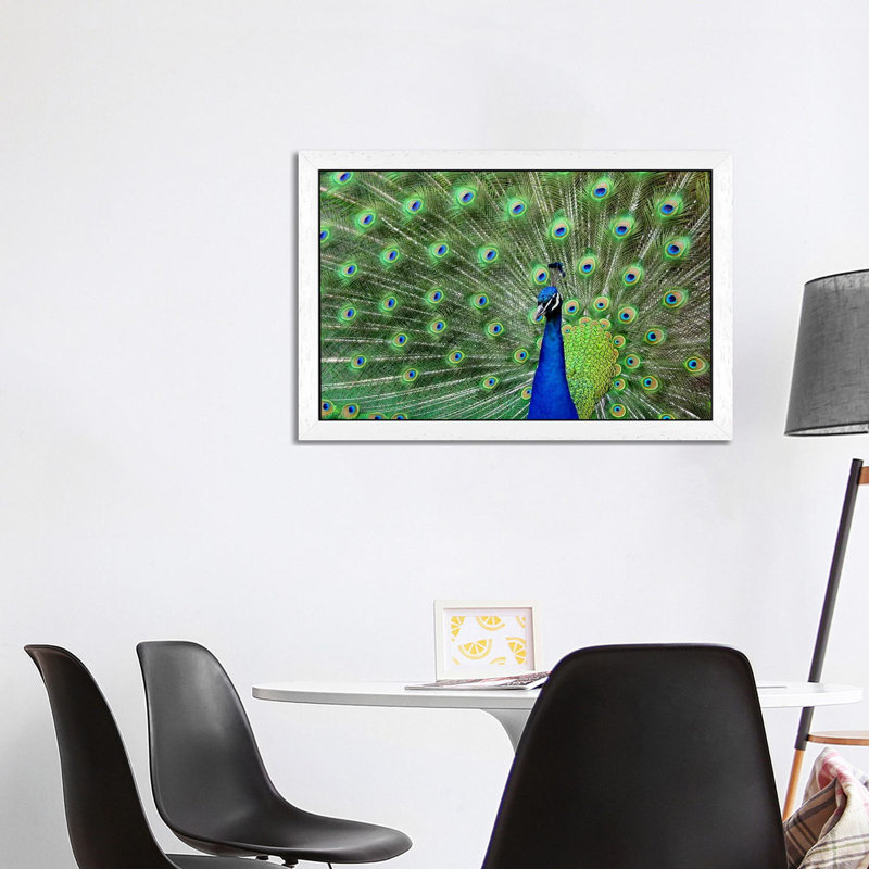 Peacock Feathers - Floater Frame Print on Canvas, White, 66.04 cm H x 45.72 cm W