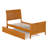Fitzsimmons Solid Wood Platform Bed with Matching Footboard and Trundle-156626967-238577239