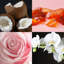 Diffuseur de roseaux Juuche Couture Hunny Bee-87365062-87365063