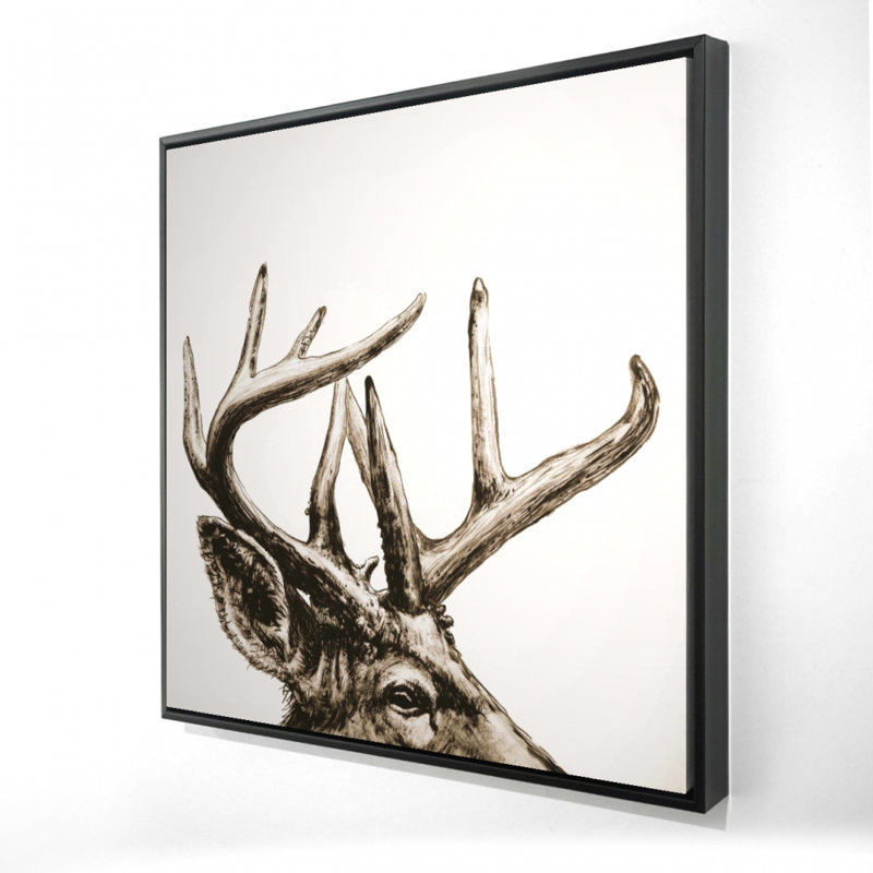 " Roe Deer Plume Sepia "