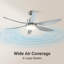 Ceiling Fan