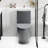One Toilet With Dual Flush 001. 1.1/1.6 , Soft Close Seat. Water, Elongated Bowl. Height, Grey Ceramic Bathroom Regularization 001 Toilet. Flush, Height. For Systematization