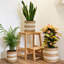 Nara Pot Planter