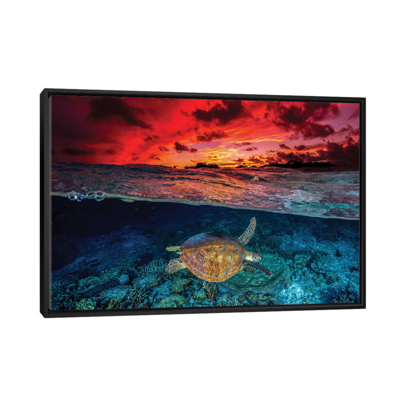 " Sunset Swimming " by Jordan Robins, No Matte, Black Framed Canvas, 26" H x 40" W x 1.5" D