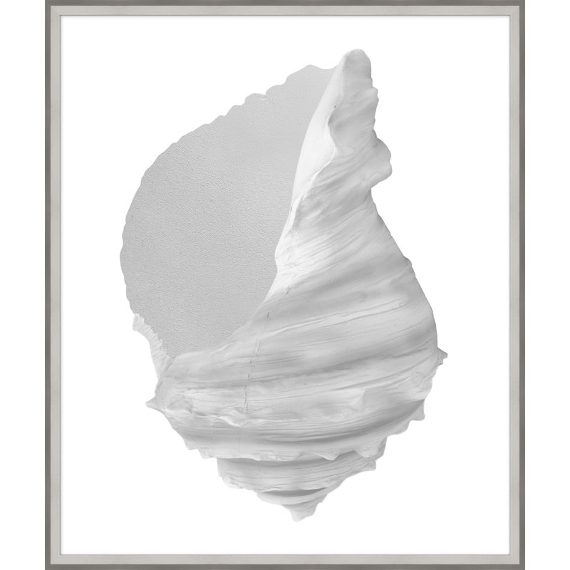 Silver Leafed Shell 2' Framed Graphic Art Print on Glass
