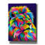 «Epic Graffiti 'Lion New» par Bob Weer, art mural sur toile-102015987