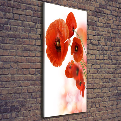 Poppy Field - Wrapped Canvas Print