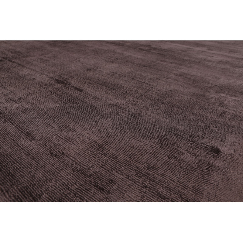 Sandusky Viscose Indoor Rug