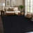 Nadene Dark Gray Indoor Area Rug-1759505906