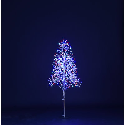 Lighted Trees & Branches