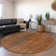 Cerrito Area Rug with Non-Slip Backing