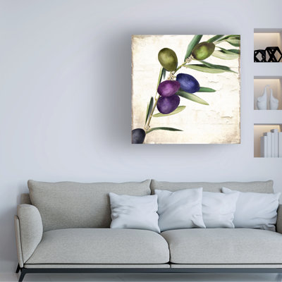 Bolog Sasha Olive Branch Iii Canvas Art