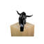 Arsema Figurines & Sculptures