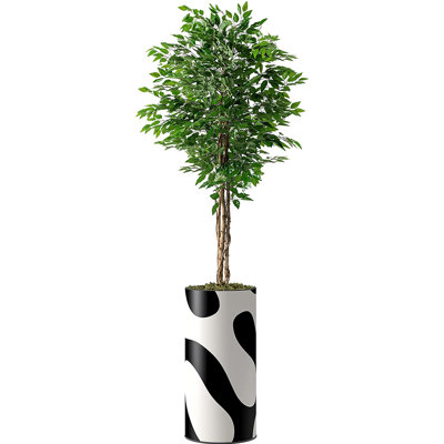 Faux Ficus Plant in Planter