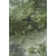 Premium Machine Washable Cerrito AMF590 Green Rug