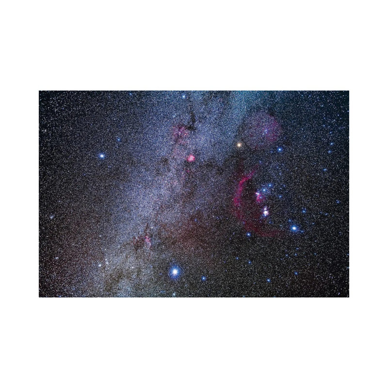 La constellation d'Orion et ses étoiles les plus brillantes, Procyon et Sirius, H 26 po x l 40 po x 1,5 po