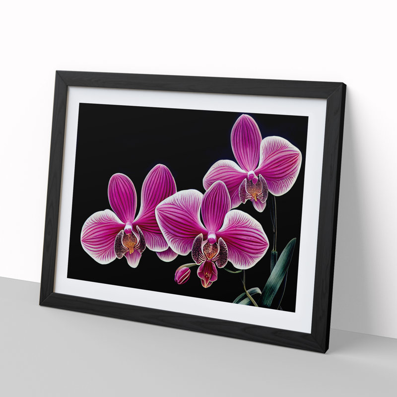 Stunning Orchid Flowers - Single Picture Frame Print, 34cm H x 46cm W x 2cm D, Black