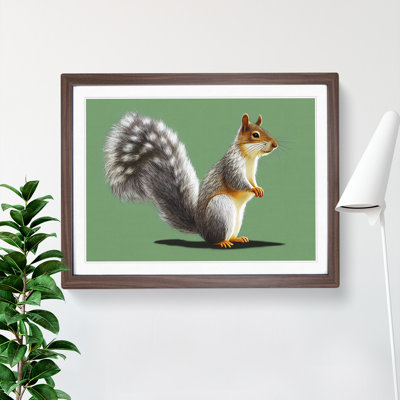 Beauteous Squirrel - Single Picture Frame Print