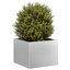 Planter-1920376238-1937852853