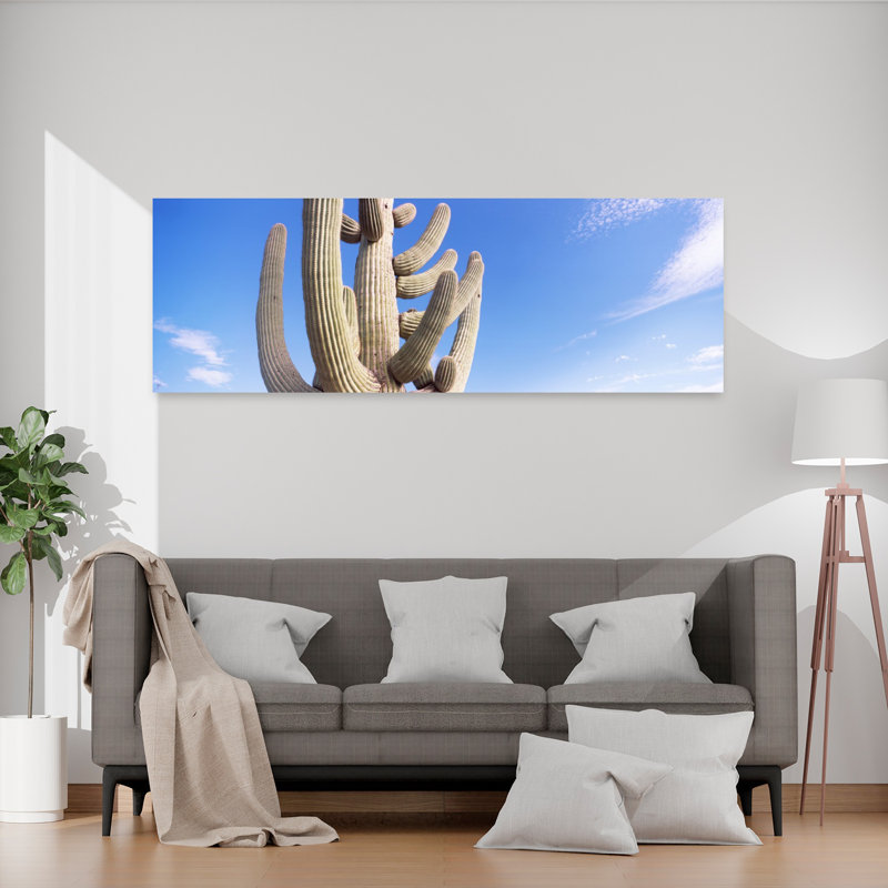 Low Angle View Of A Saguaro Cactus Saguaro National Park Tucson Pima County Arizona USA by Dan Merkel - Wrapped Canvas Panoramic Print