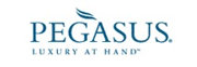 Pegasus logo