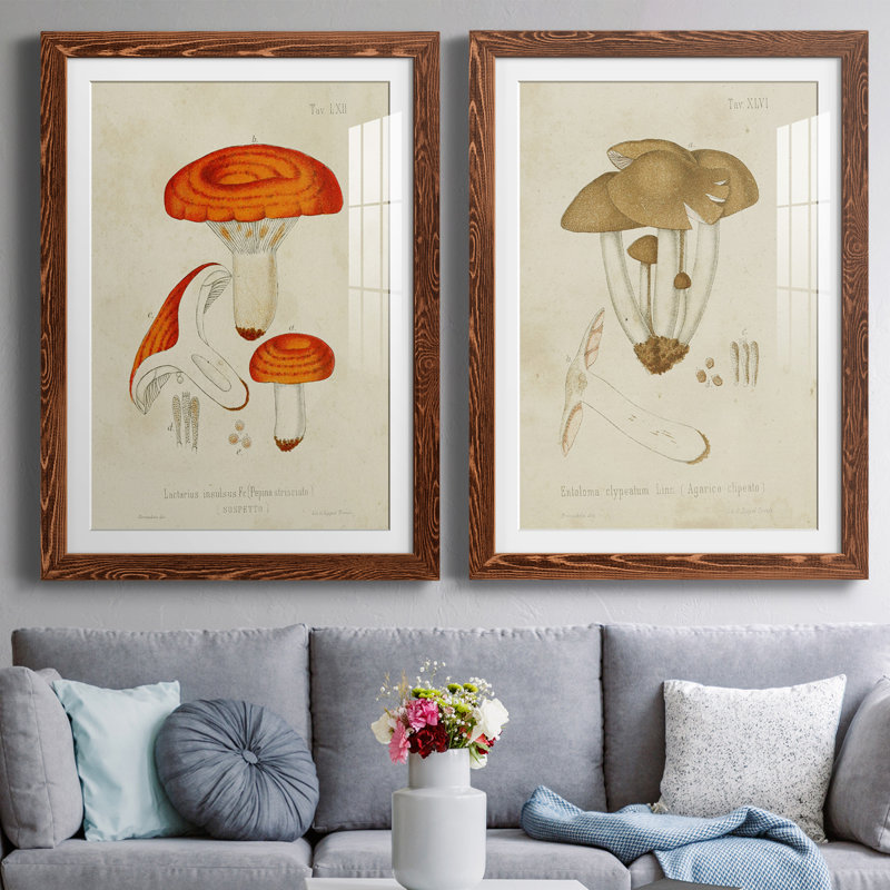 Champignon Variétés de qualité supérieure encadré mat - prêt à accrocher, H 31,5 po x l 47 po x P 1,5 po, Érable