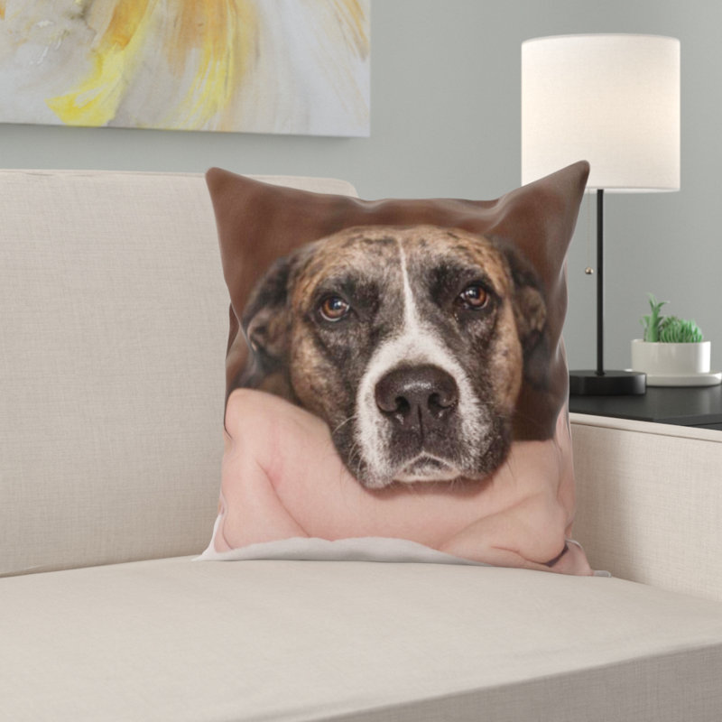 Coussin pour chien