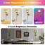 Appliques murales à piles avec télécommande et abat-jour en verre tulipe vert (ensemble de 2)