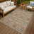 Machine Washable Indoor/Outdoor Chantille ACN2440 Traditional Rug-320625436-320625423