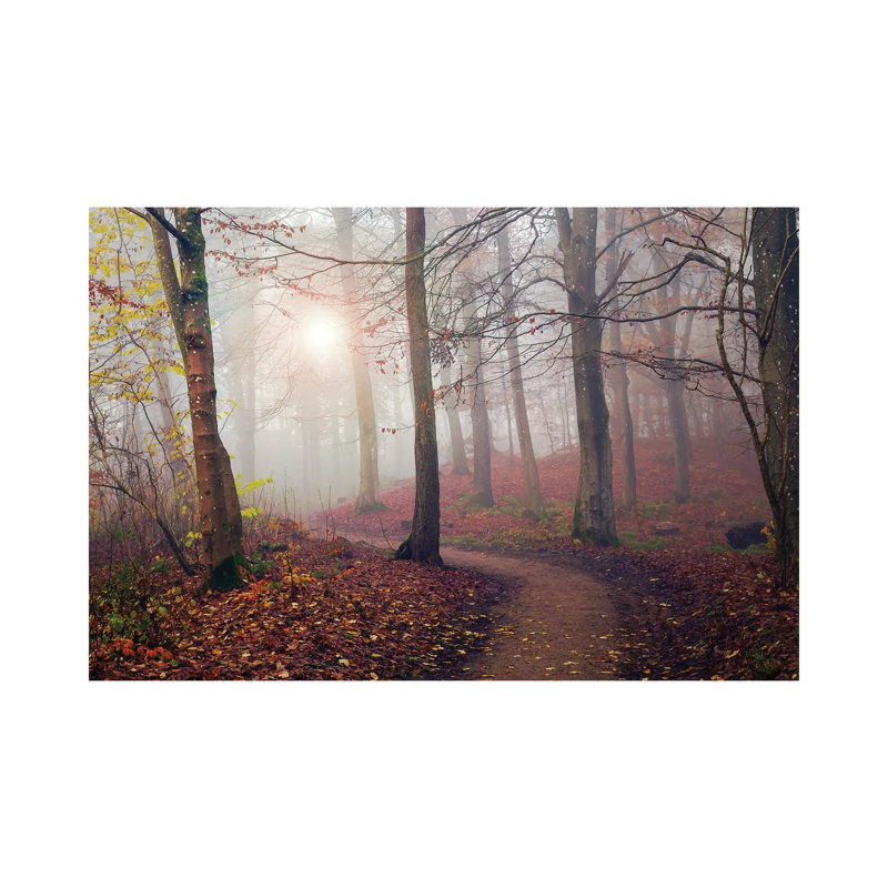 Autumn Sun - Wrapped Canvas Print