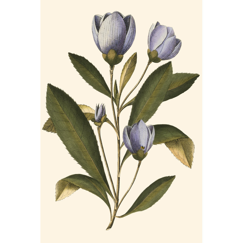 Lavender Floral IV by Vision Studio - Painting Print, 30cm H x 20cm W, Wrapped Canvas