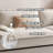 White 100% Polyester Modular Sofa cushion couch-109305695-109305700
