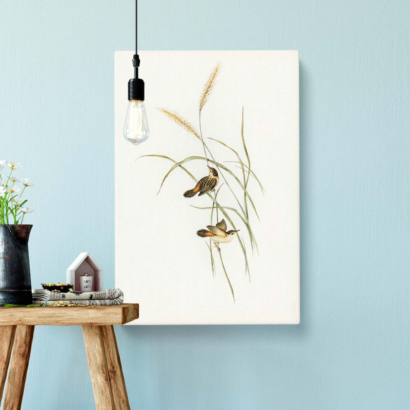 Square-Tailed Warbler by Elizabeth Gould - Wrapped Canvas, 60cm H x 40cm W x 3cm D