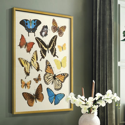 «Collived Flutter II», reproduction encadrée - bois massif