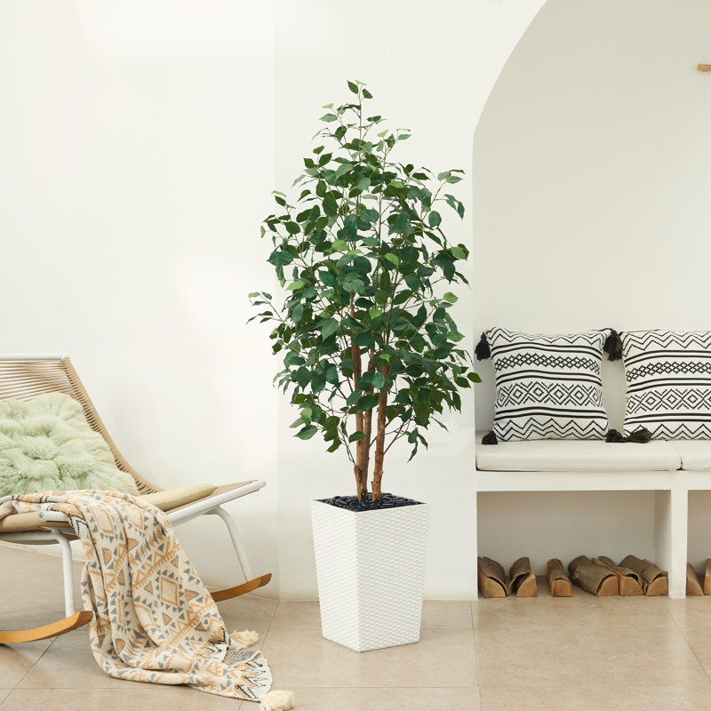 Adcock UV Protected Artificial Ficus Tree with Decorative Base, Faux Ficus Plant with Natural Trunk, White