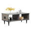 Table basse avec rangement Dayshanay-636867810