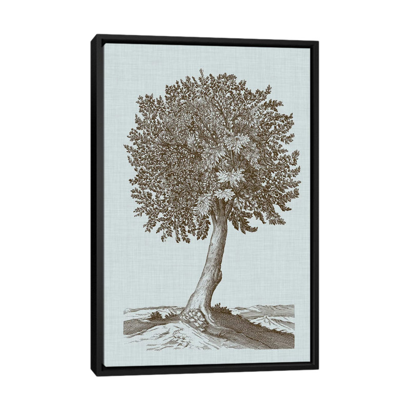 «Antique Tree in Sepia I», impression sur toile, H 26 po x l 18 po x P 1,5 po, Toile avec cadre noir, Pas de tapis
