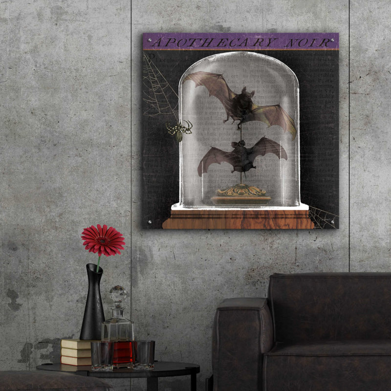 The Holiday Aisle® «Apothecary Noir IV» par Sue Schlabach, art mural en verre acrylique, 24 po x 24 po