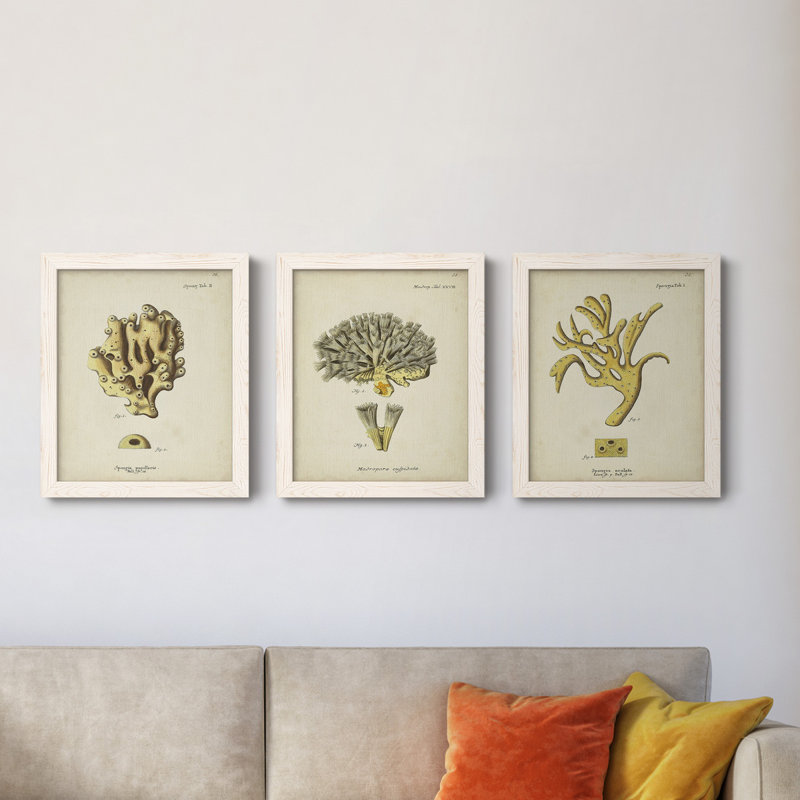 Écru corail X - ensemble de 3 peintures sur toile encadrées, Blanc, H 20 po x l 51 po x P 1,5 po