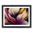 Black Framed selected