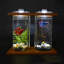 Mini aquarium Betta