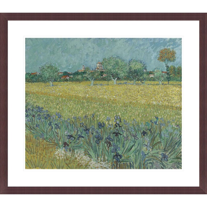 Champ avec iris près d'Arles par Vincent van Gogh, impression giclée encadrée, H 23,5 po x l 26,8 po