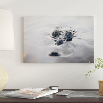 " A Large American Crocodile Surfaces In A Lagoon " by Ethan Daniels