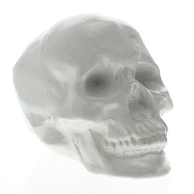 Cisne 6" White Ceramic Skull Tabletop Sculpture