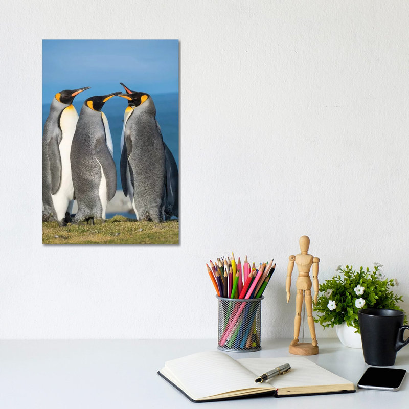 King Penguin Rookery in St. Andrews Bay. Courtship Behavior. South Georgia Island 1 Piece Wrapped Canvas Wall Art