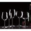 Verre Lenot Tuscany Classics Pinot Grigio