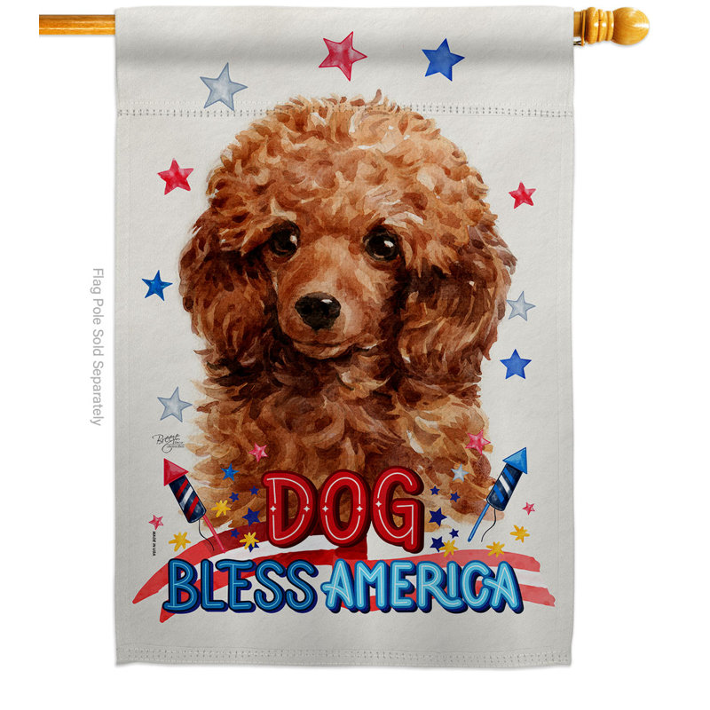 Drapeau de maison miniature en polyester 2 faces 3 x 2 pi