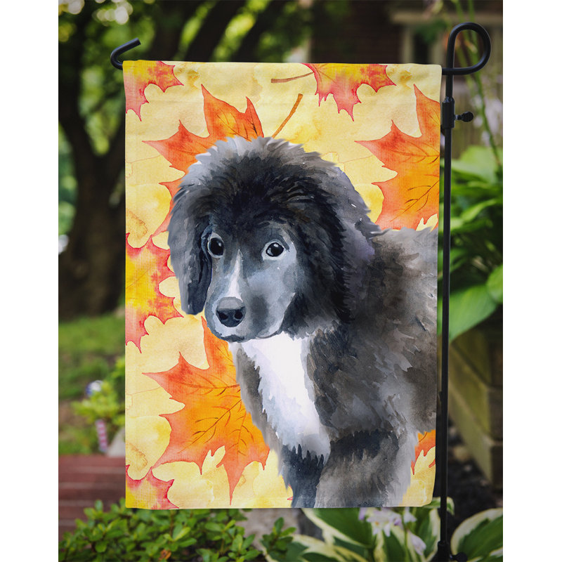 Automne 2 côtés en polyester 15 x 11 po drapeau de jardin, Chiot Terre-Neuve