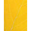 Autumn Leaf Print by Philippe Monthoux-65800451-65800452