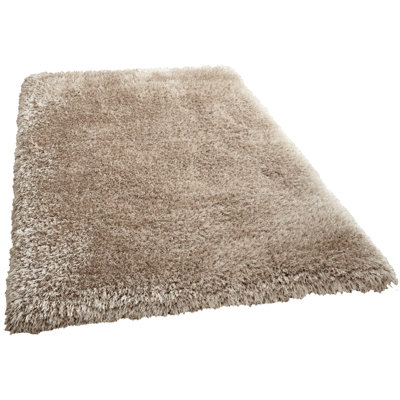Hetzel Hand Tufted Shaggy Area Rug